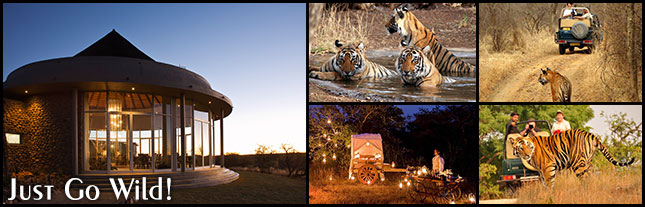 Wildlife Luxury Tours