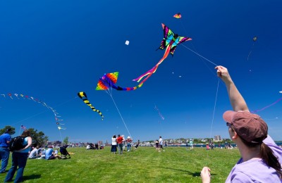 International Kite Festival